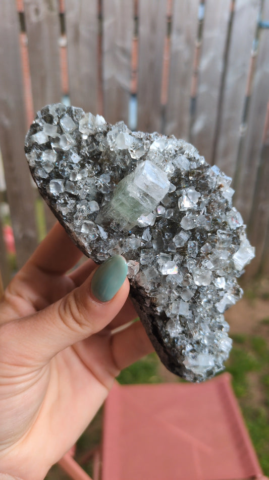 Forest Apophyllite ✨ K