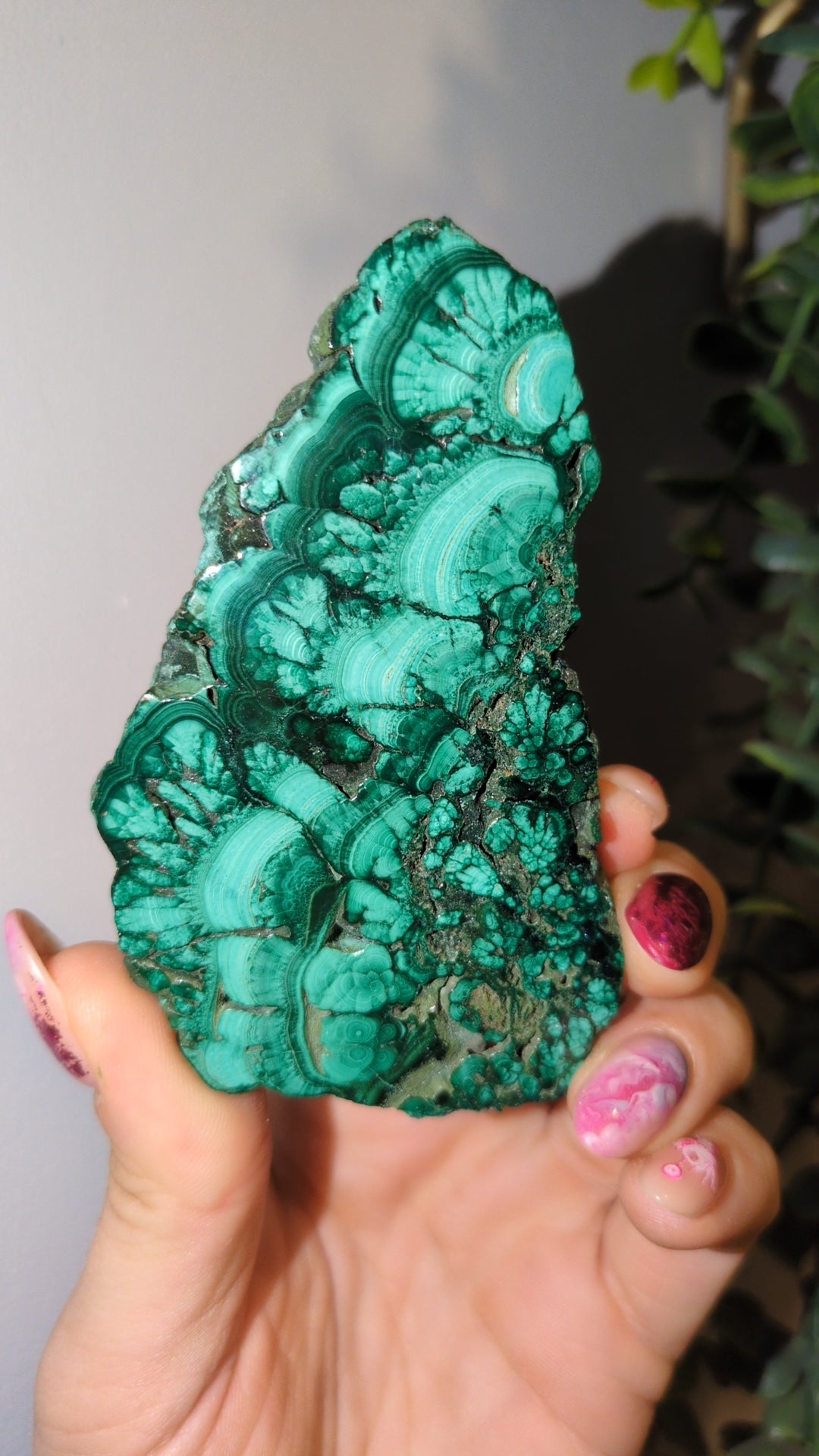 Malachite slab (22) ✨