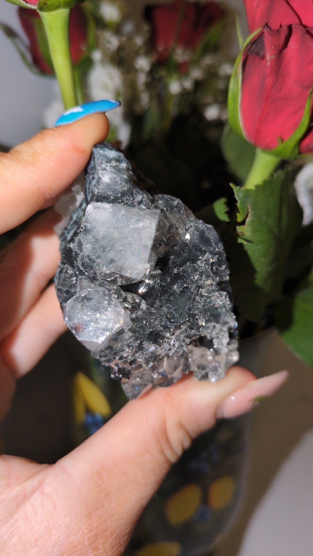 Apophyllite on Black chalcedony ✨ B
