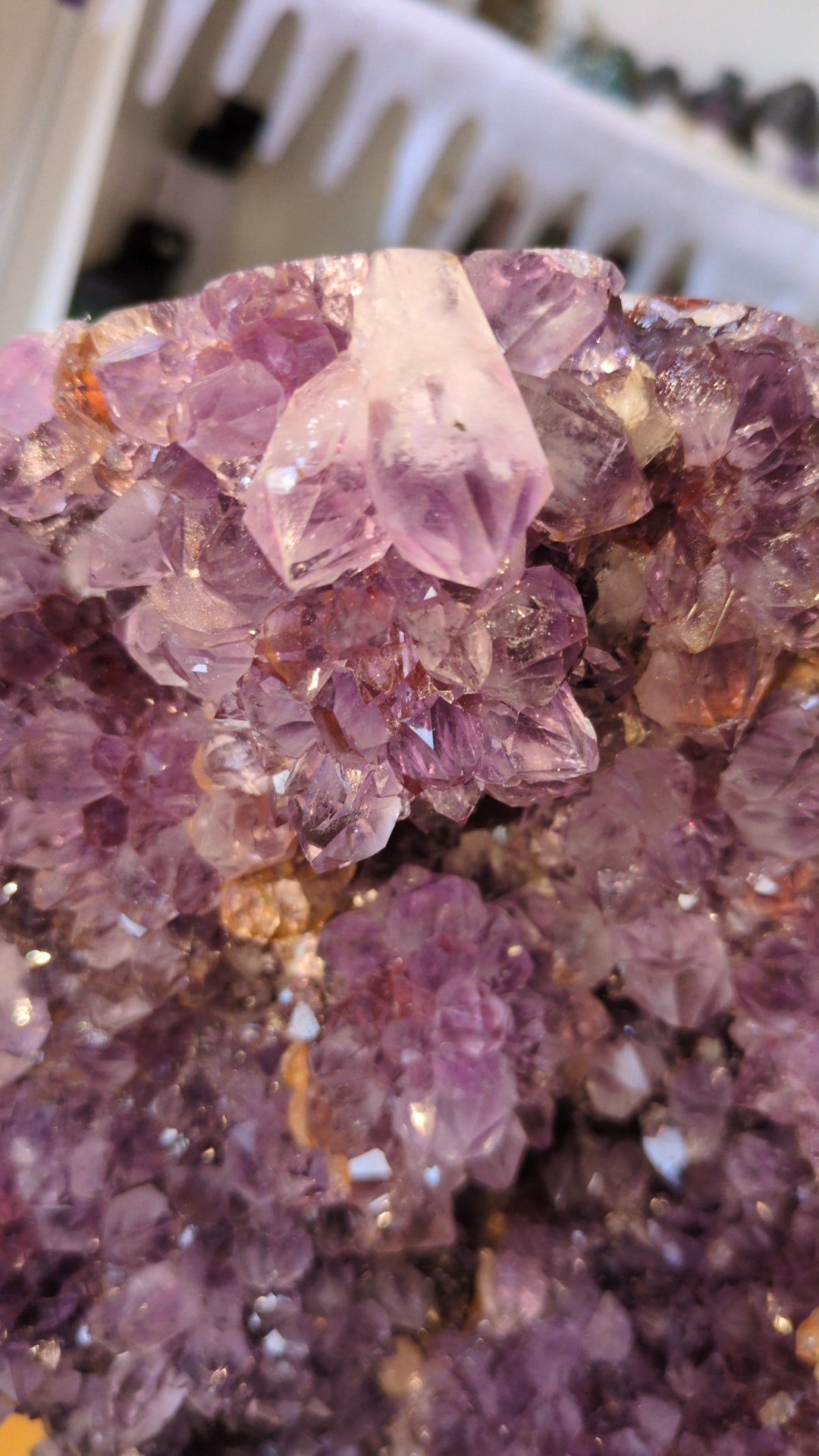 XXL Pink amethyst on stand ✨ B