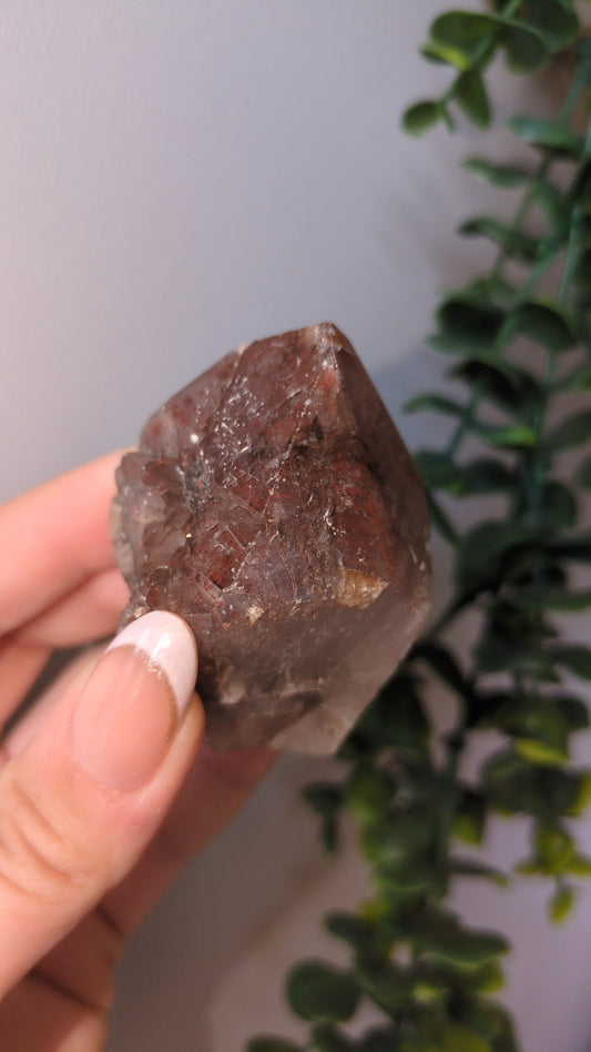 Red scepter Point ✨