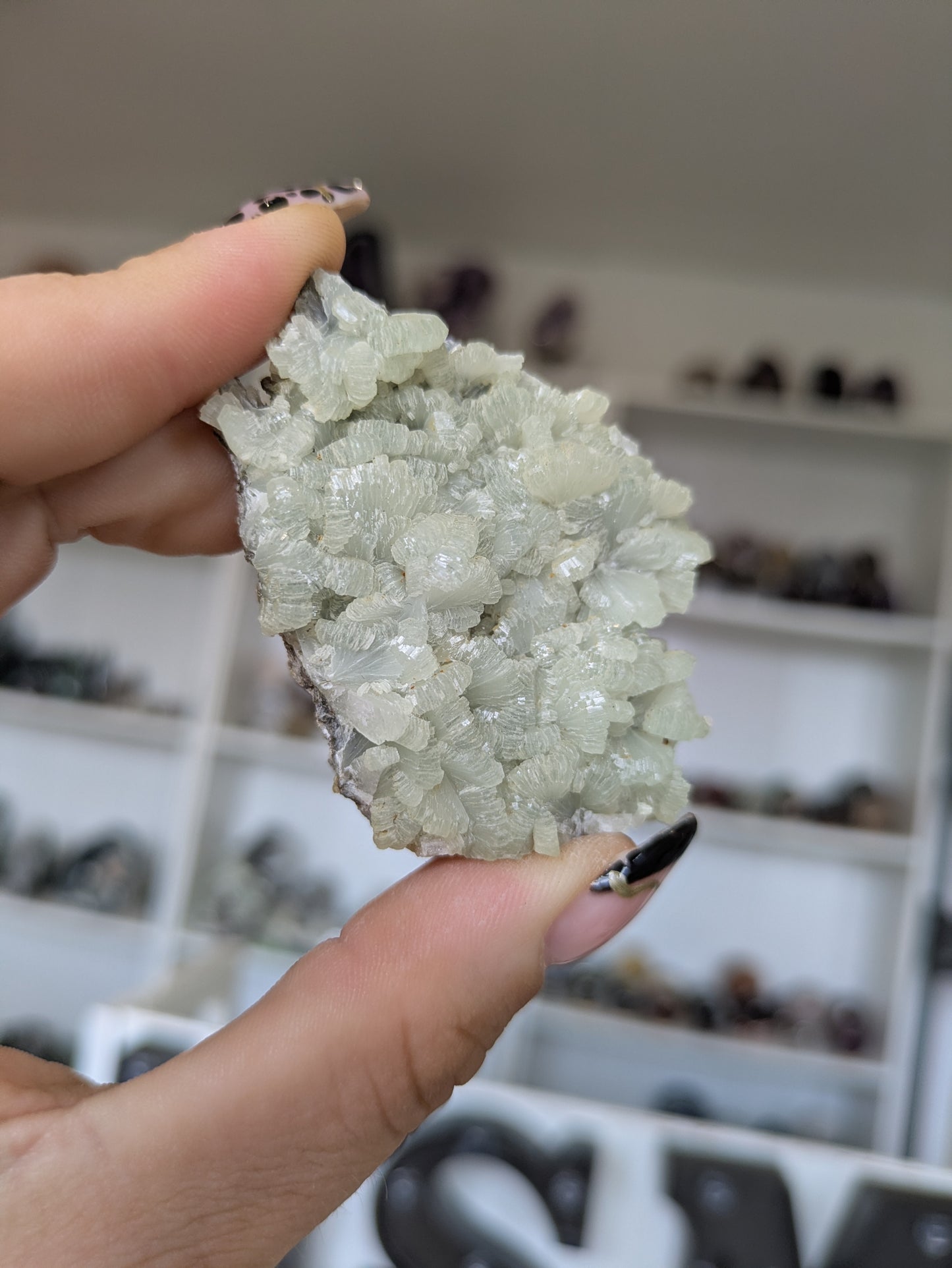 Prehnite ✨ X