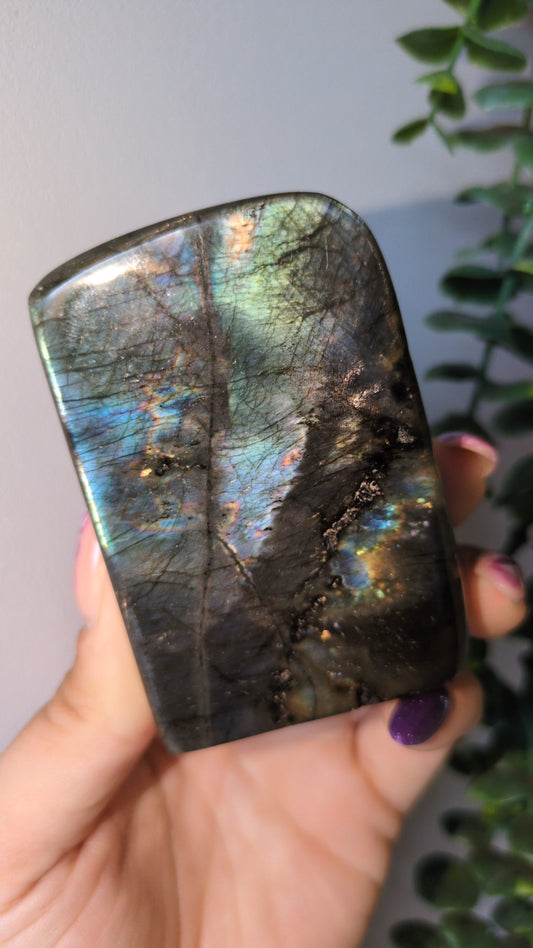 Spectrolite (26A)✨