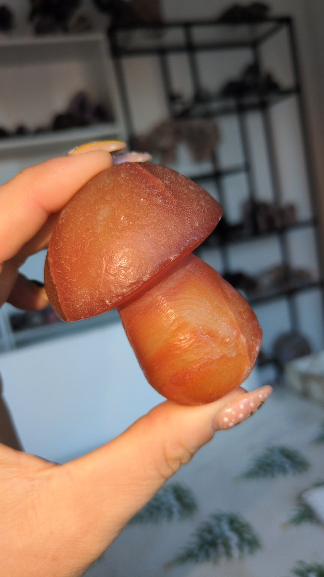 Gobi agate mushroom 🍄