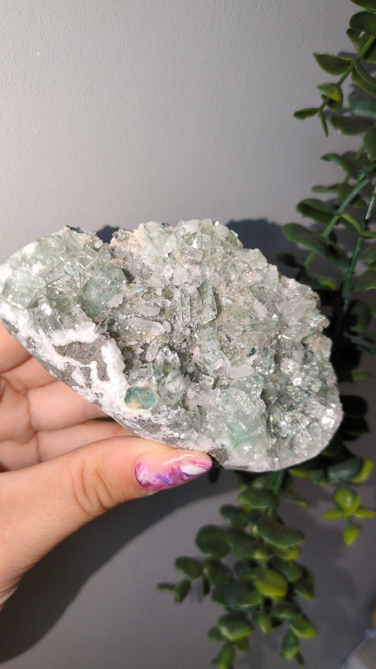 Icy Mint Apophyllite ✨ T