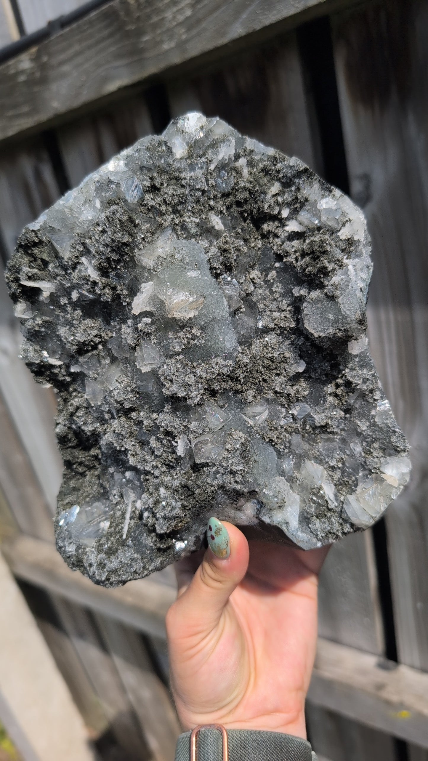 Black forest Apophyllite ✨ N