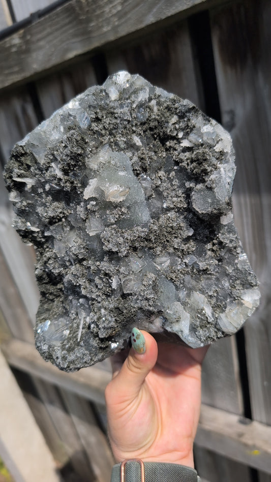 Black forest Apophyllite ✨ N