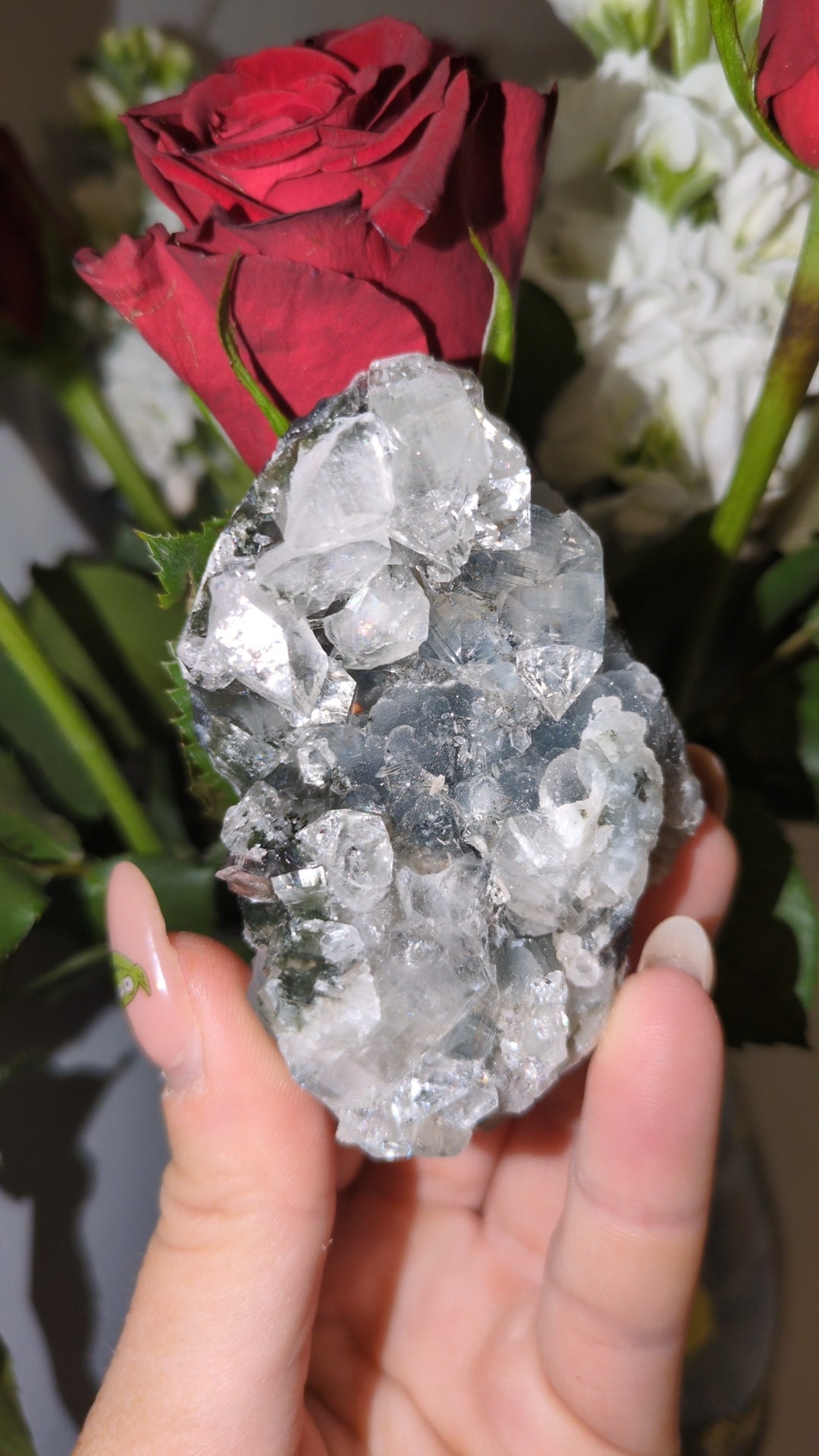 Diamond Apophyllite ✨ (30)