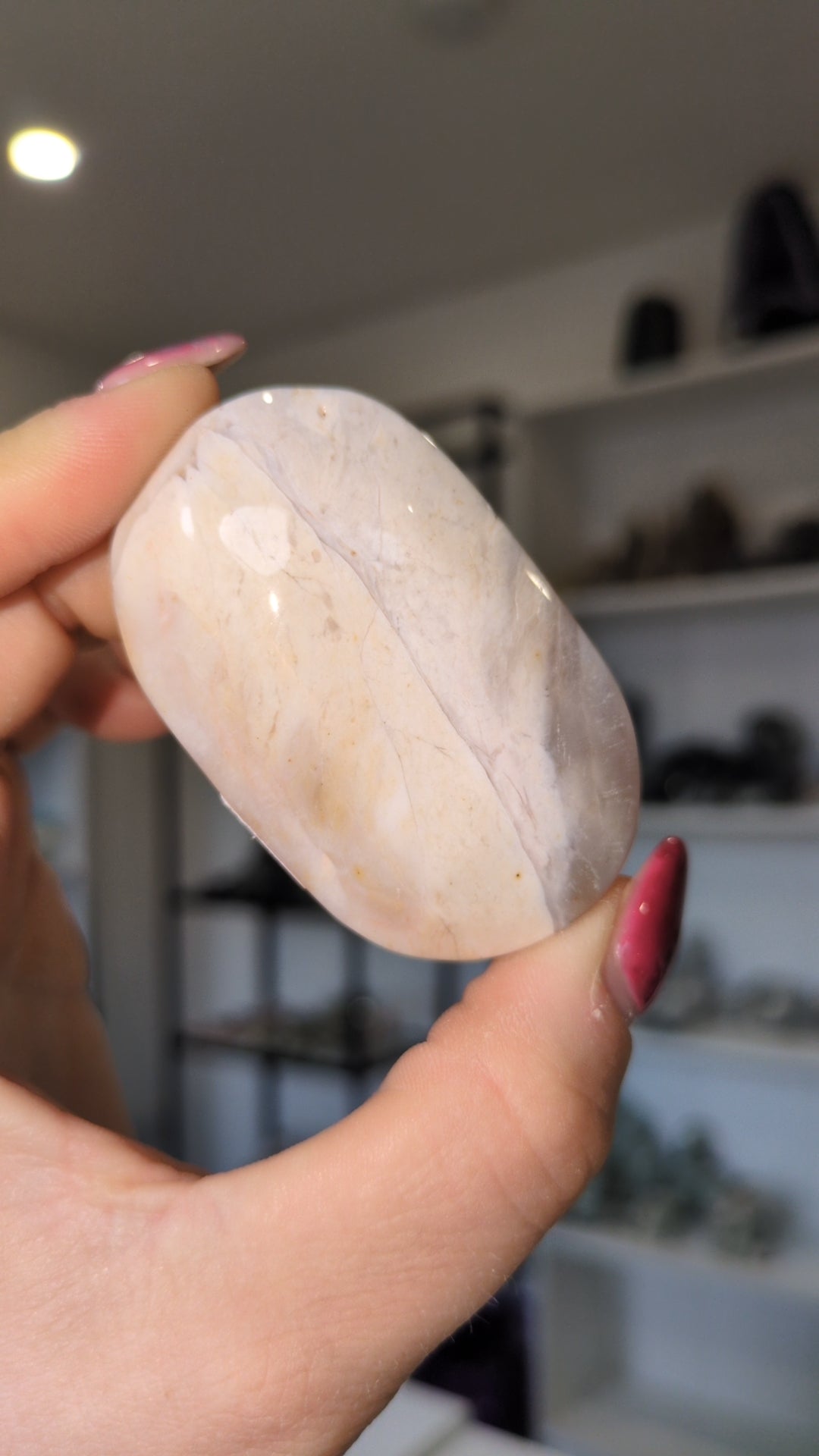 Petrified wood palm ✨