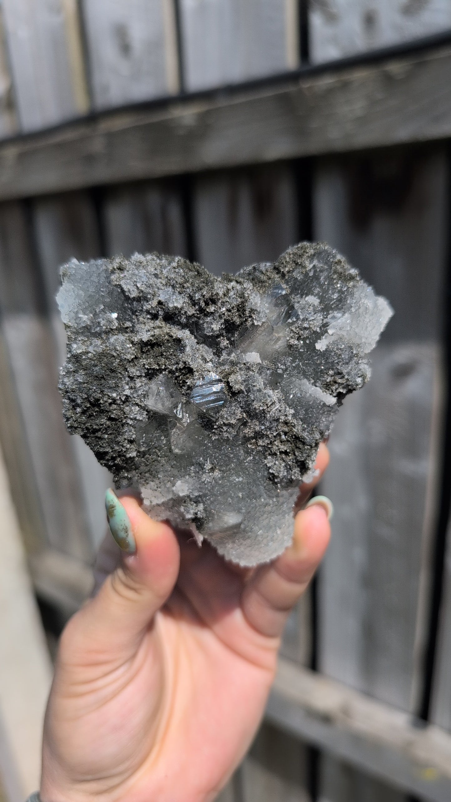 Black forest Apophyllite ✨ B