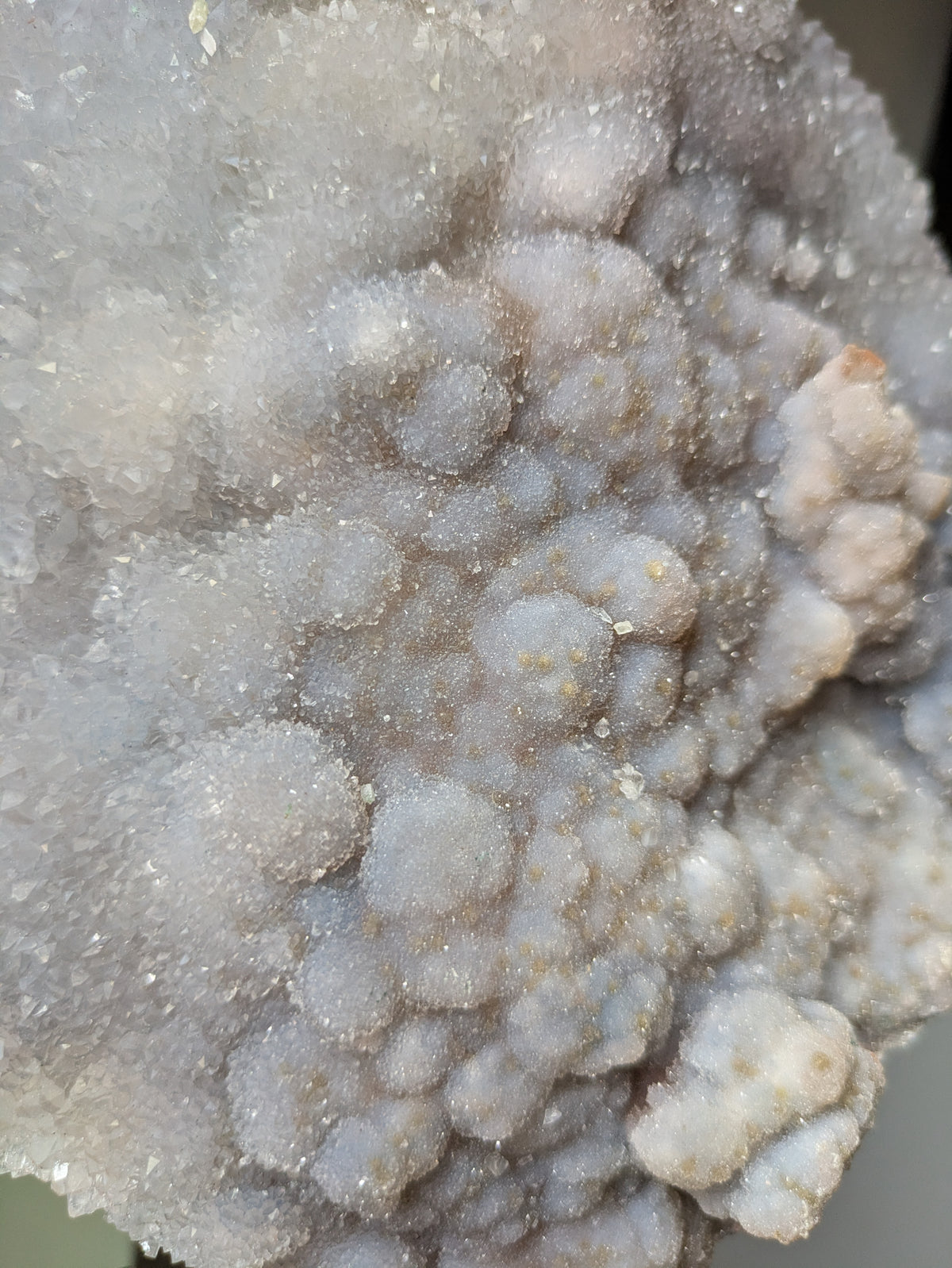 XL zeolite on stand ✨ D