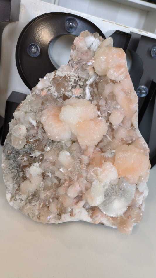 XL 'Strawberry Milkshake' Apophyllite ✨ A