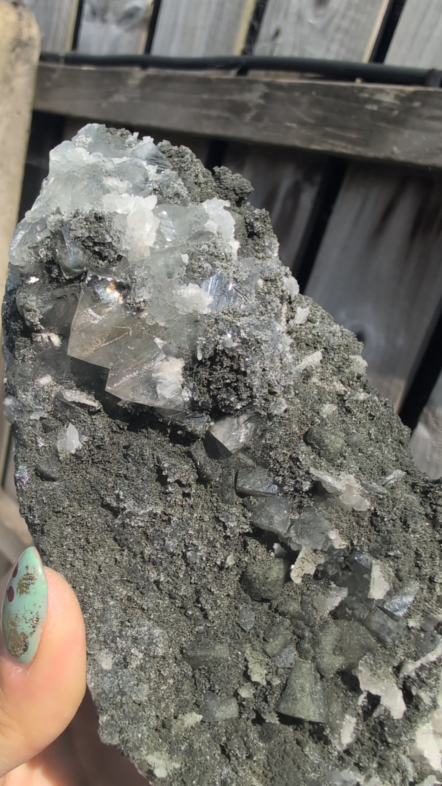 Black forest Apophyllite ✨ L