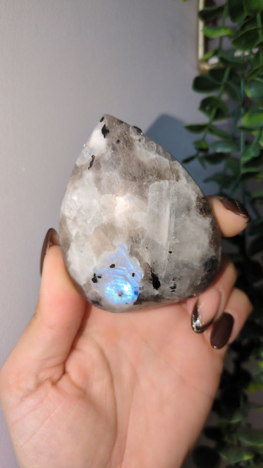 Rainbow moonstone teardrop B ✨