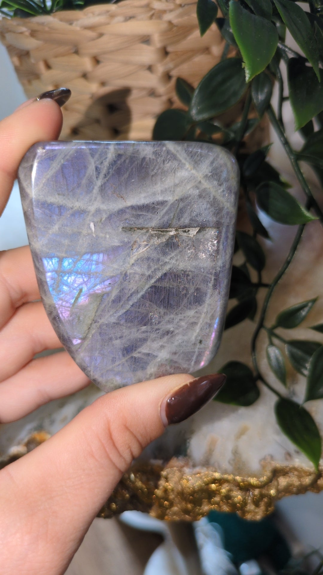 Labradorite freeform P ✨
