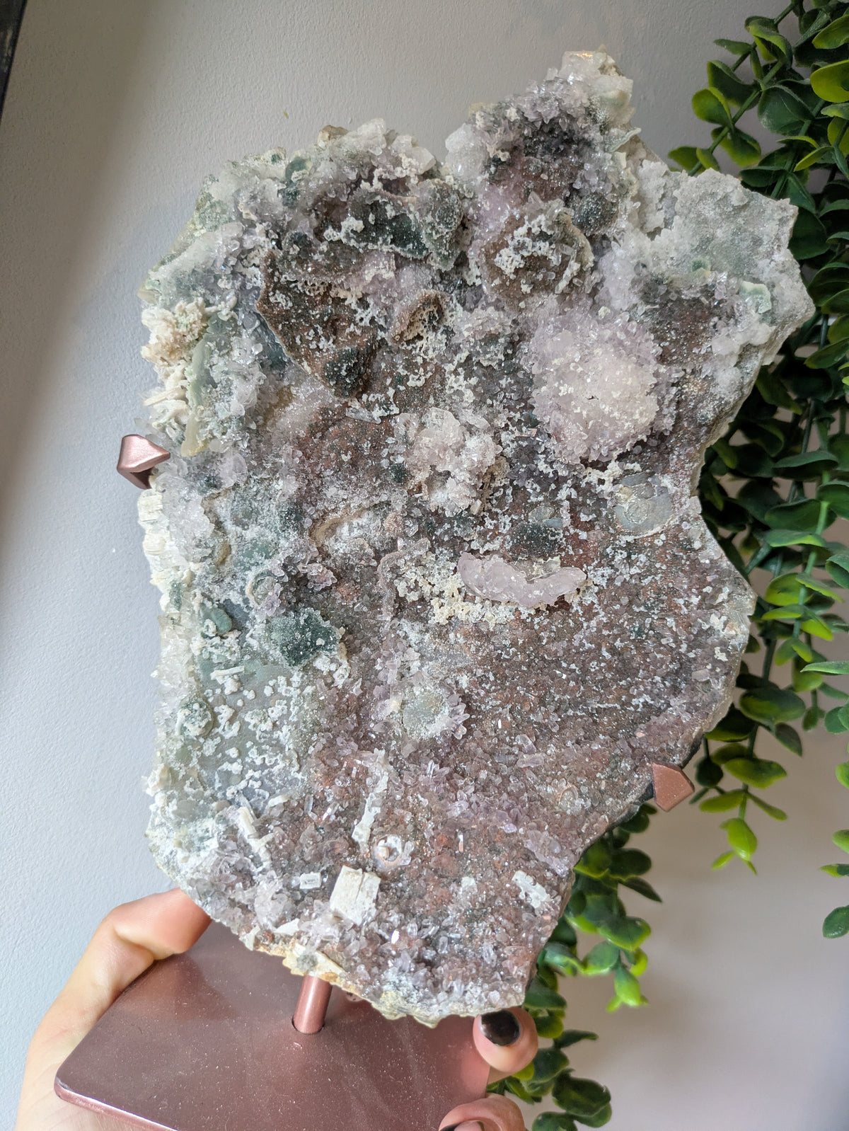 XL zeolite on stand ✨ C