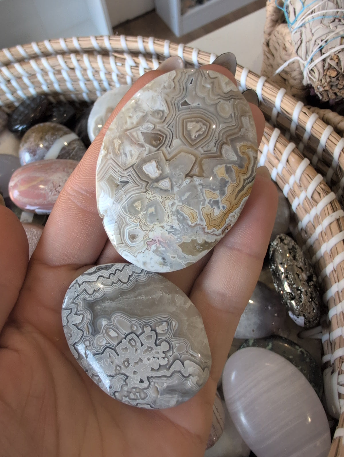 Mixed agate palms ✨