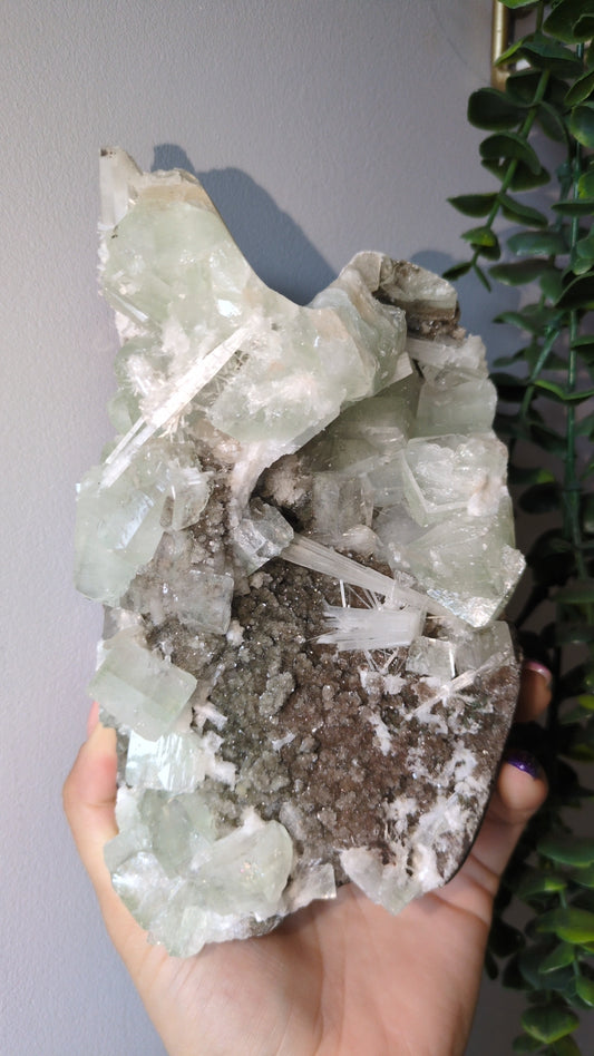 Scolecite Sprayed Apophyllite ✨