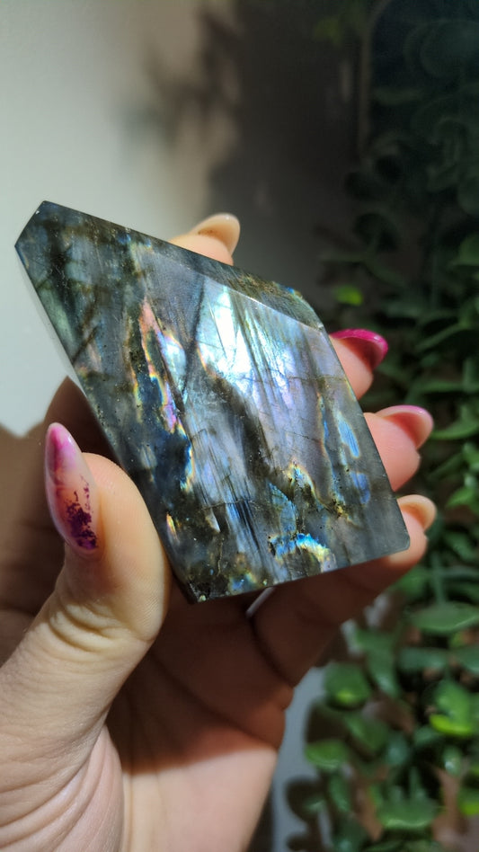 Spectrolite (20) ✨