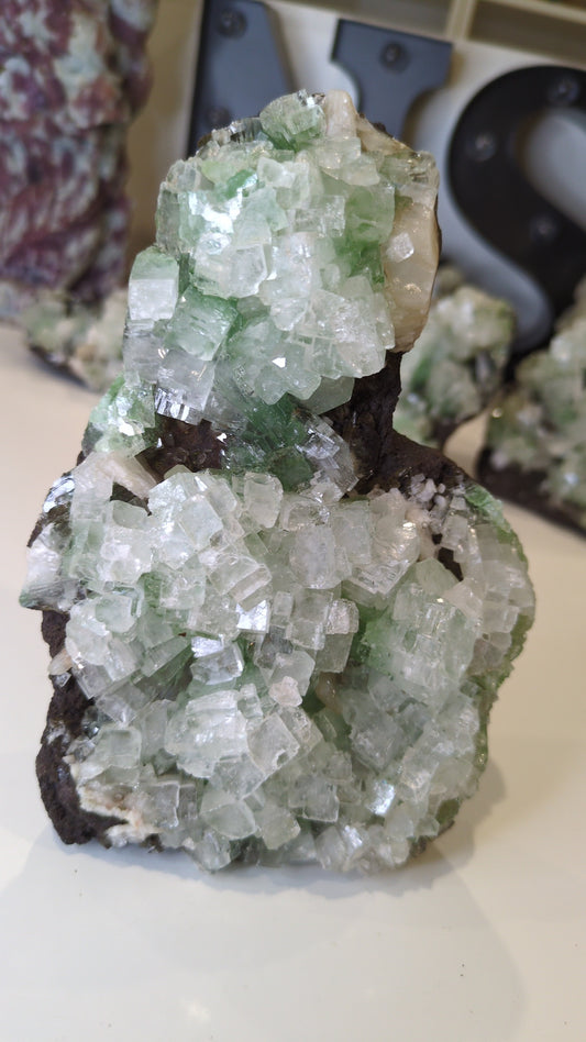 Green disco Apophyllite ✨ B