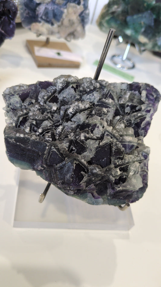 Raw rainbow flourite ✨A