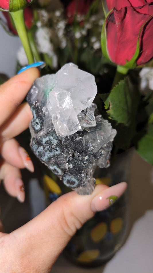 Apophyllite on Black chalcedony ✨ B