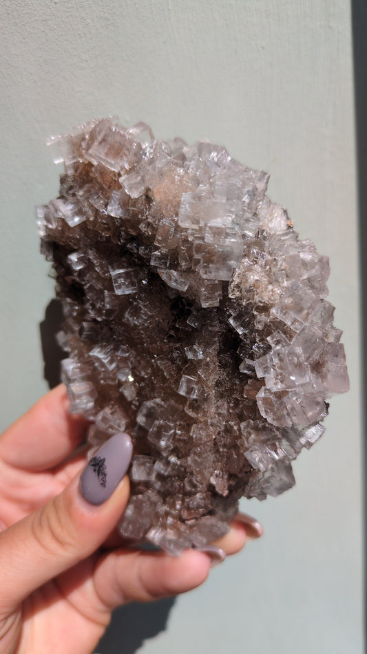 Clear Halite from Morocco (E) ✨