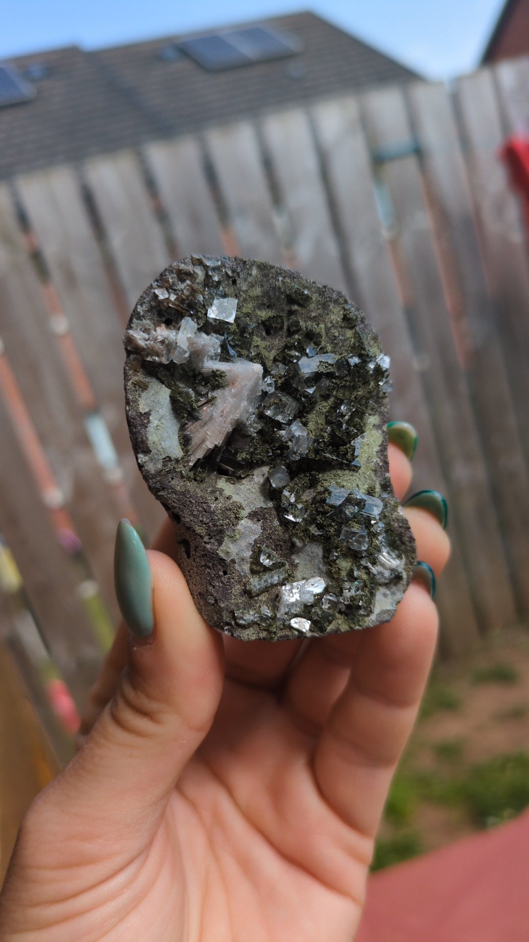 Forest Apophyllite ✨ P