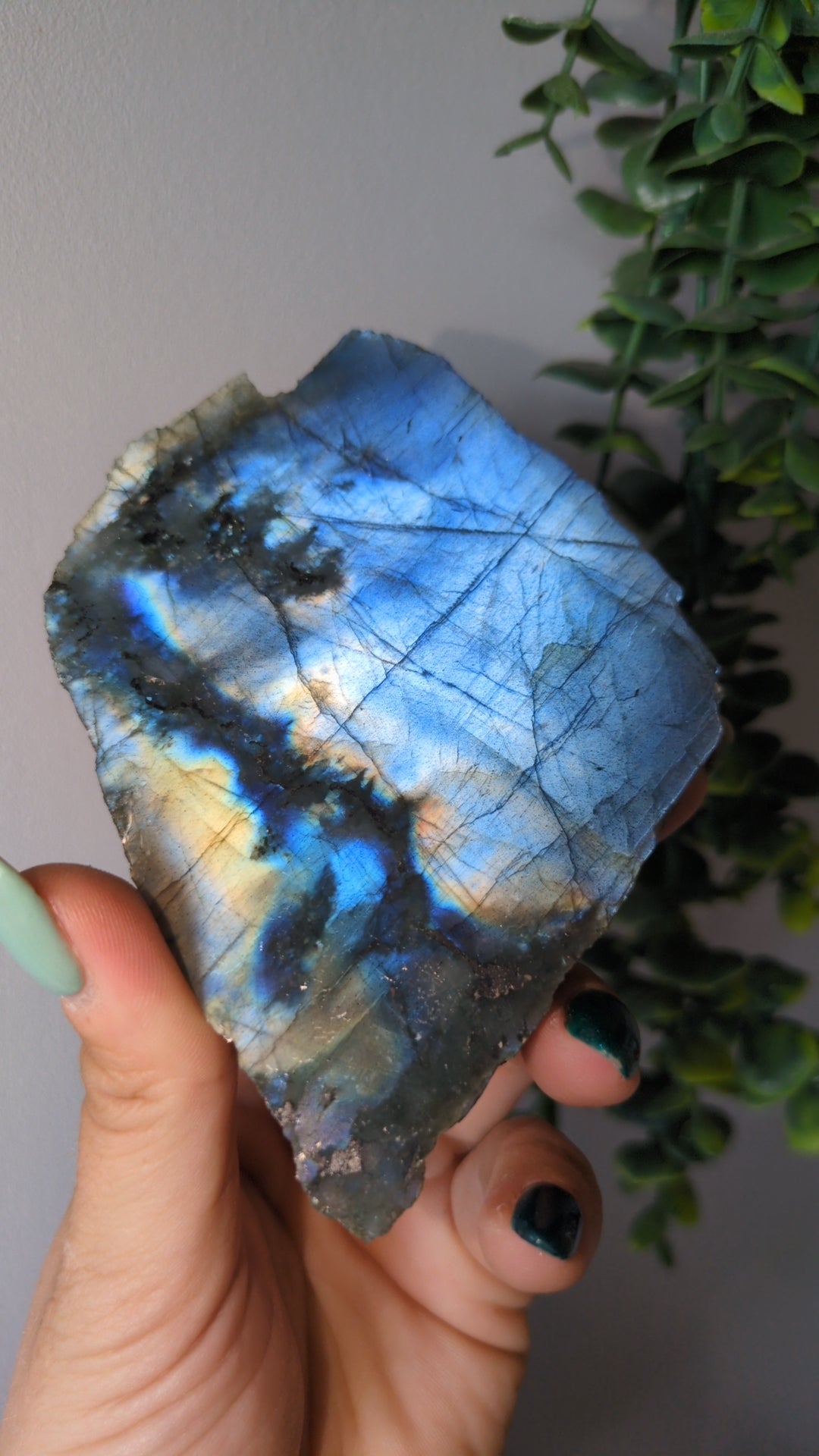 Blue metallic labradorite slab ✨ A