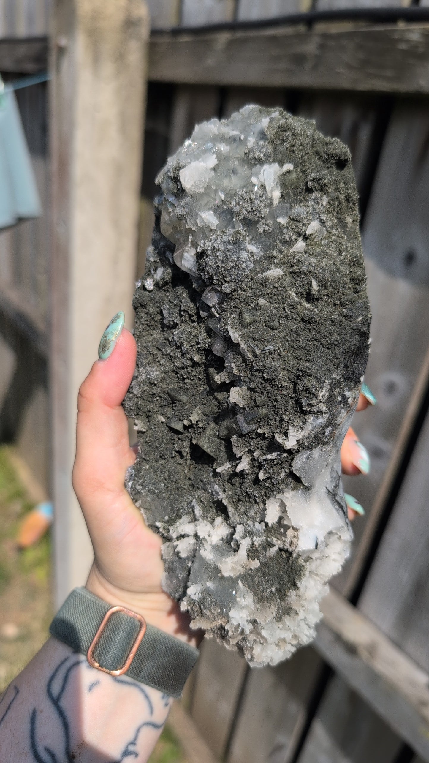Black forest Apophyllite ✨ L