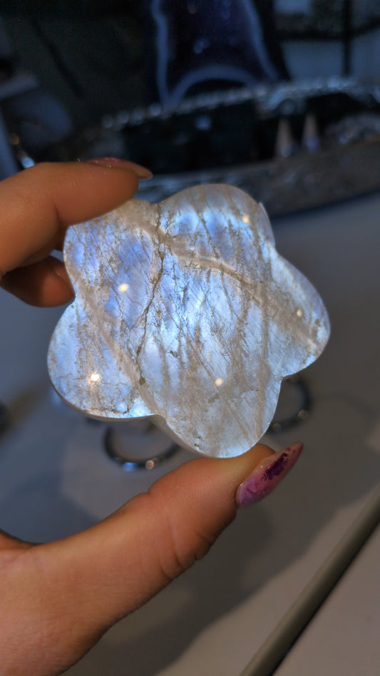 High grade white moonstone flowers 🌻