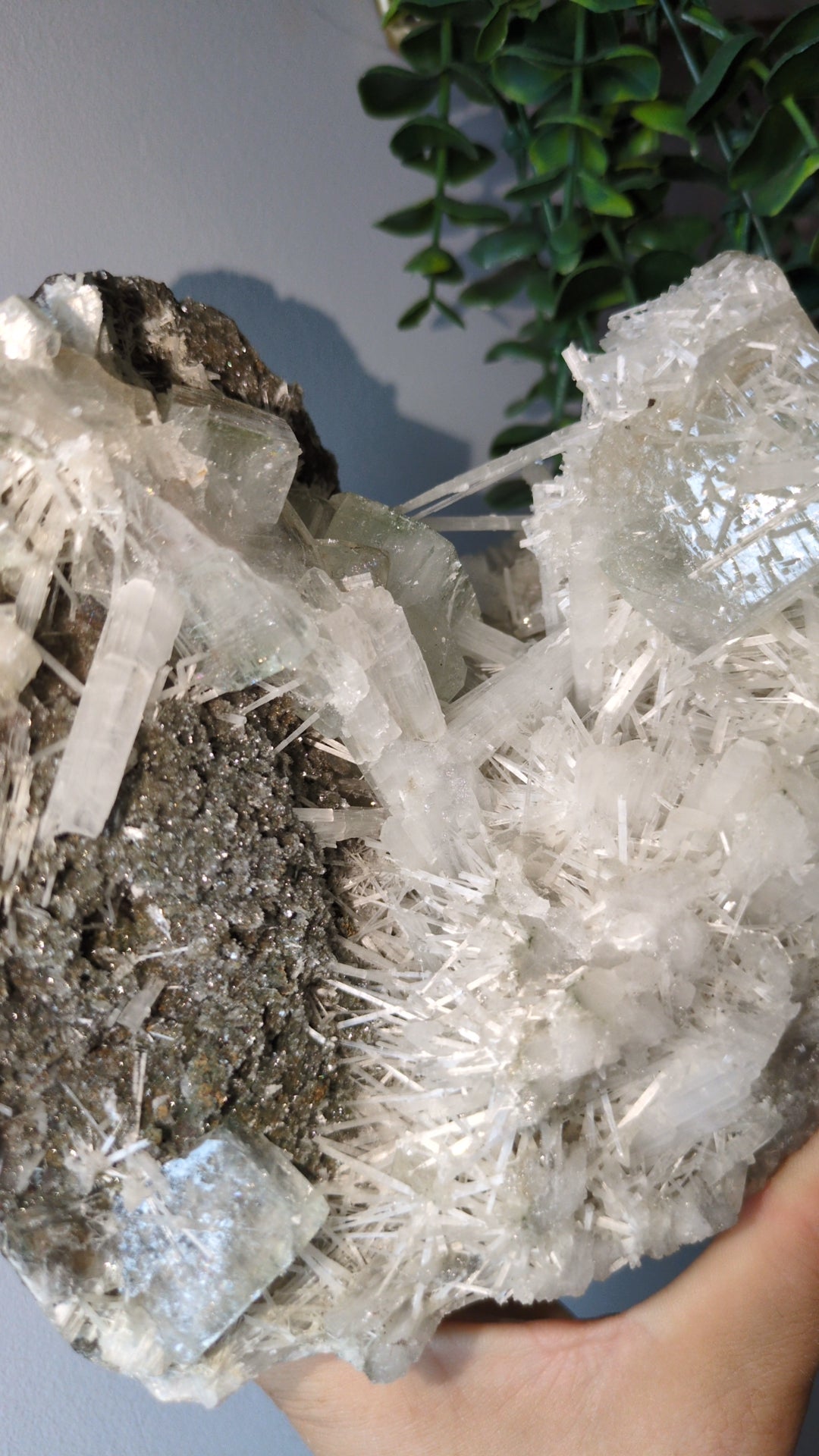 Scolecite Sprayed Apophyllite ✨ B