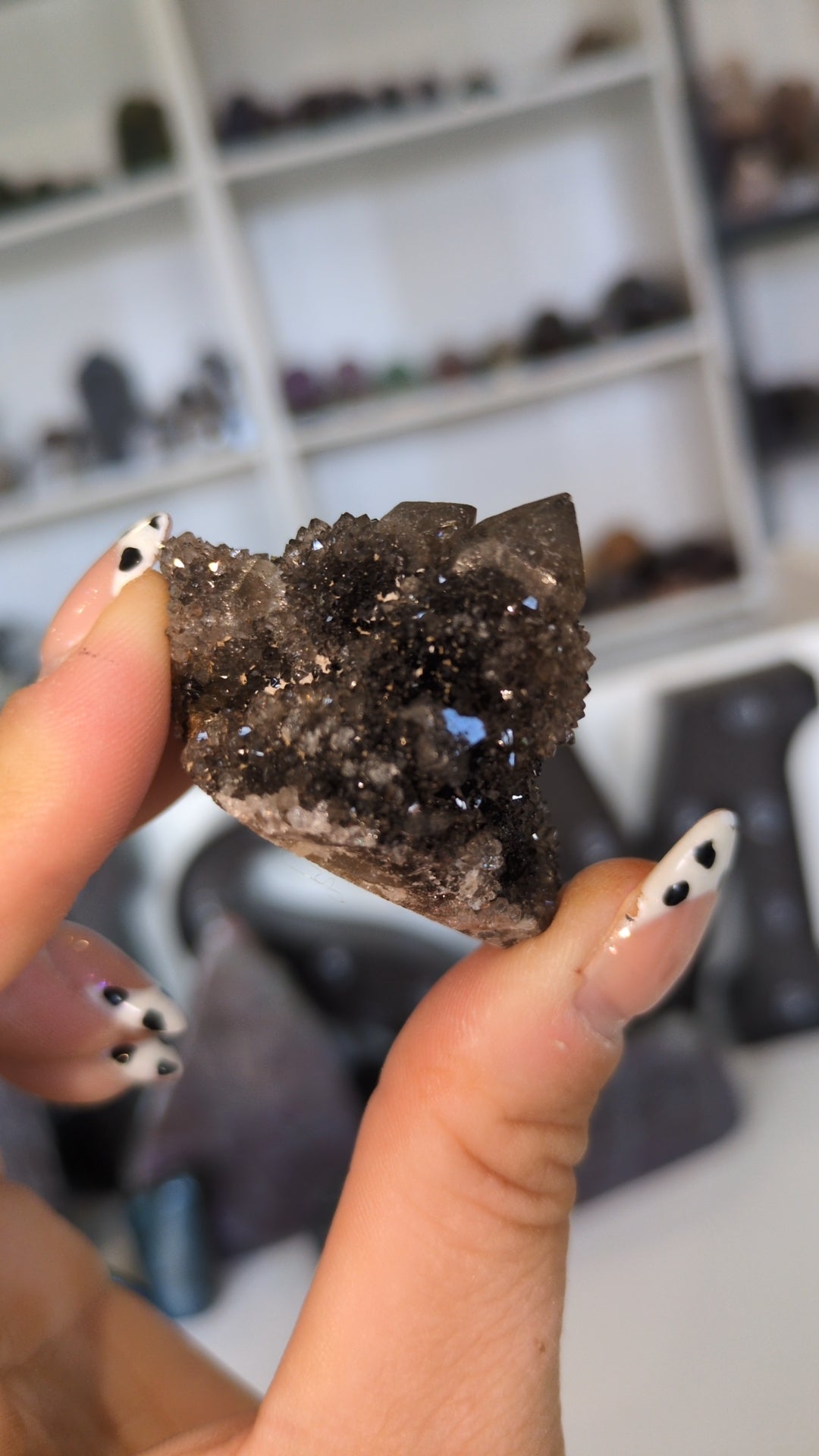 Black spirit quartz ✨ B