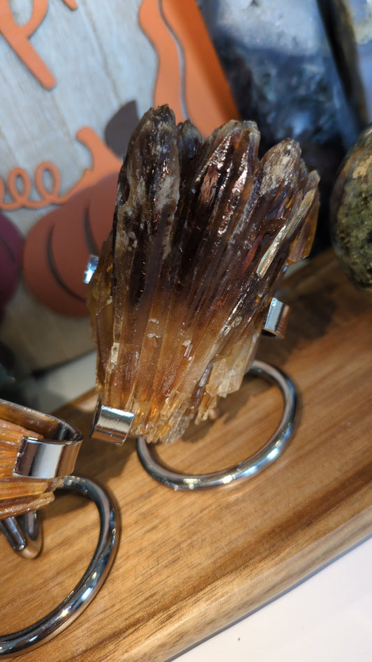 Raw amber ✨