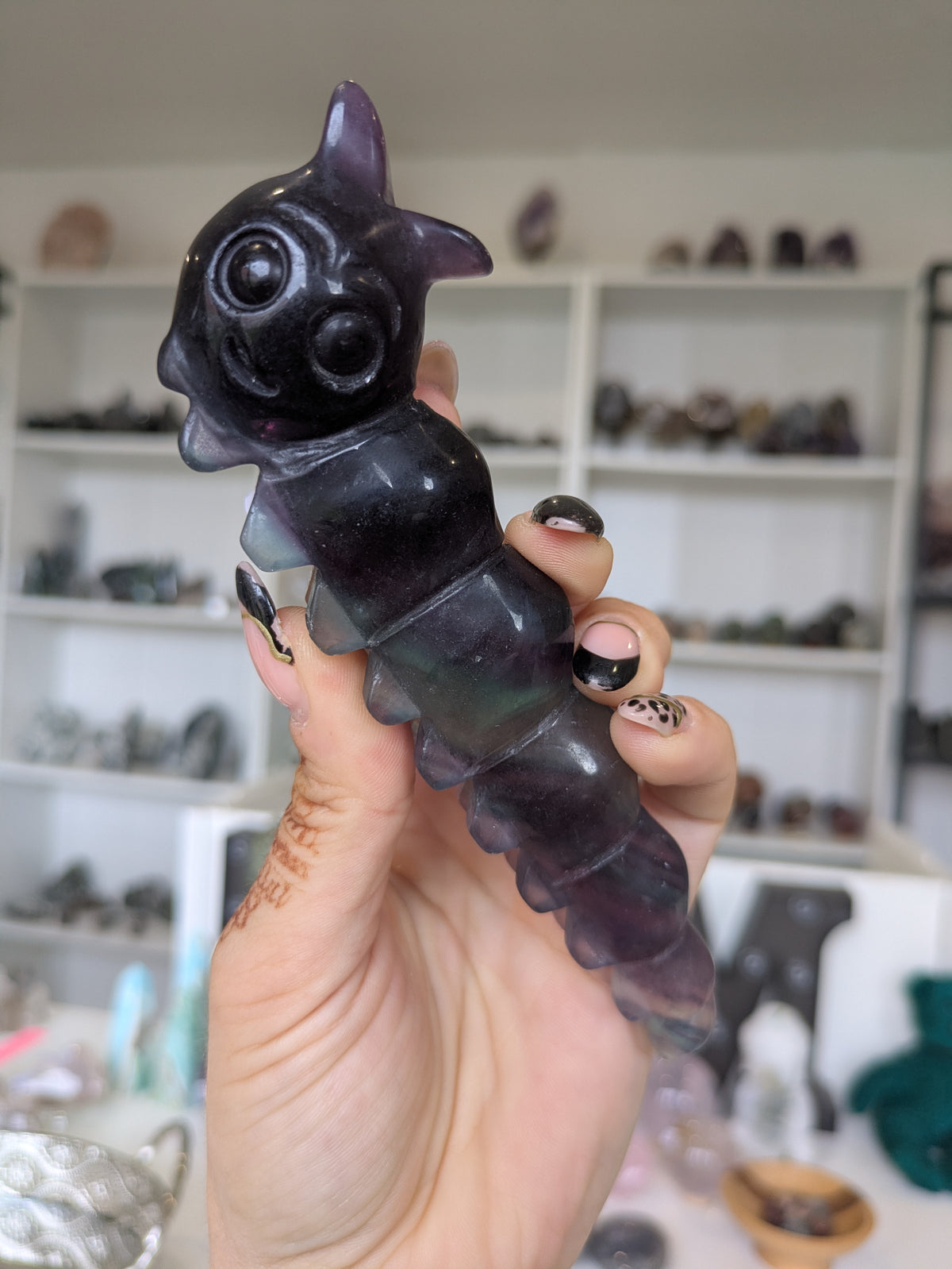 Rainbow flourite caterpillar 🐛