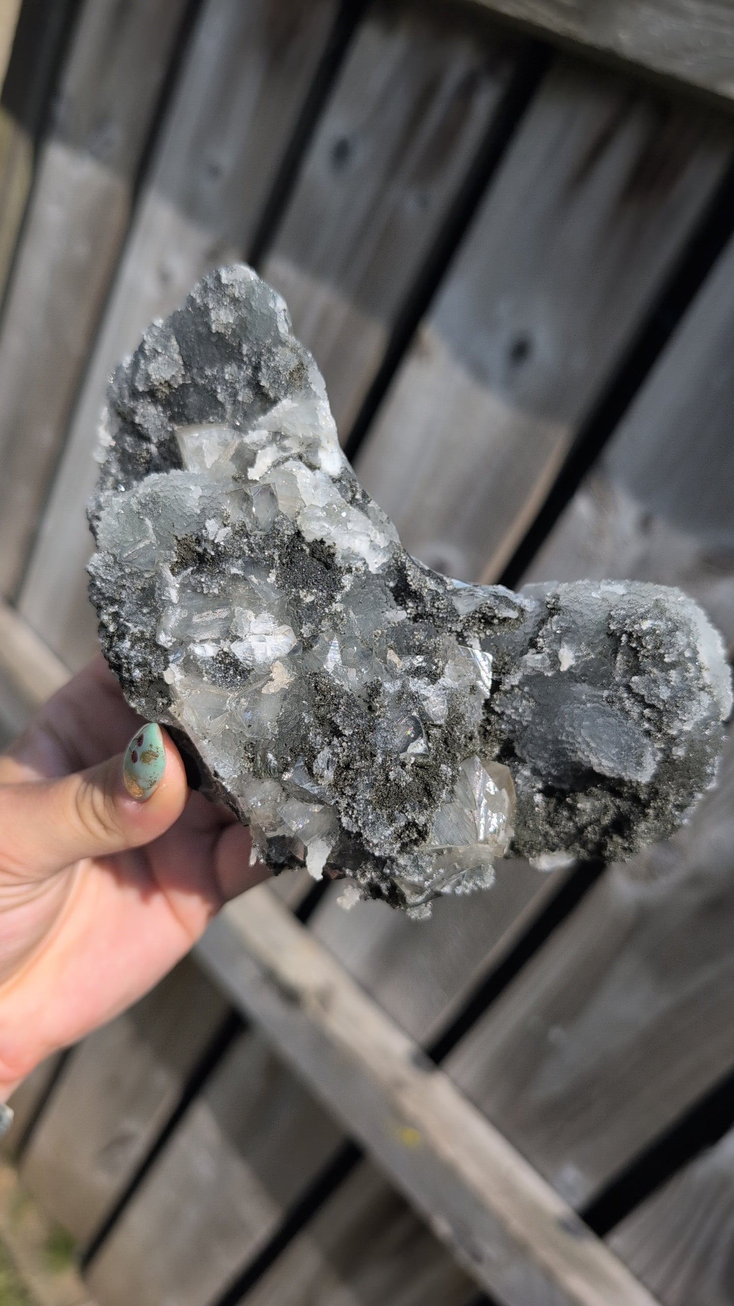 Black forest Apophyllite ✨ P