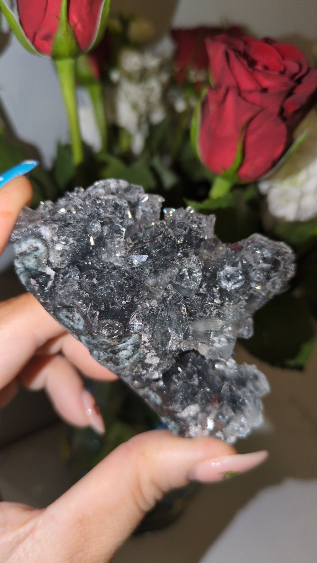 Apophyllite on Black chalcedony ✨ E