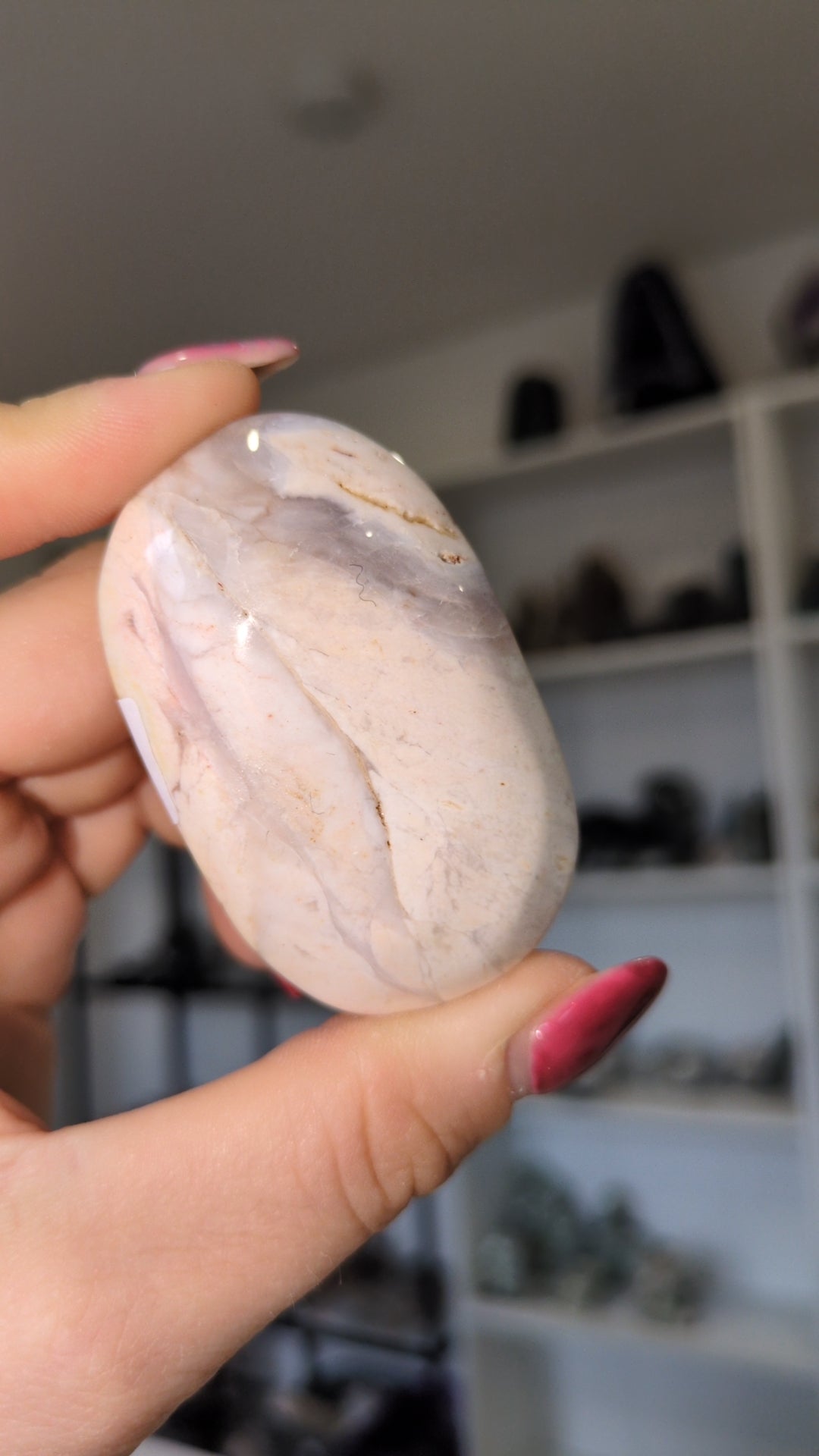 Petrified wood palm ✨