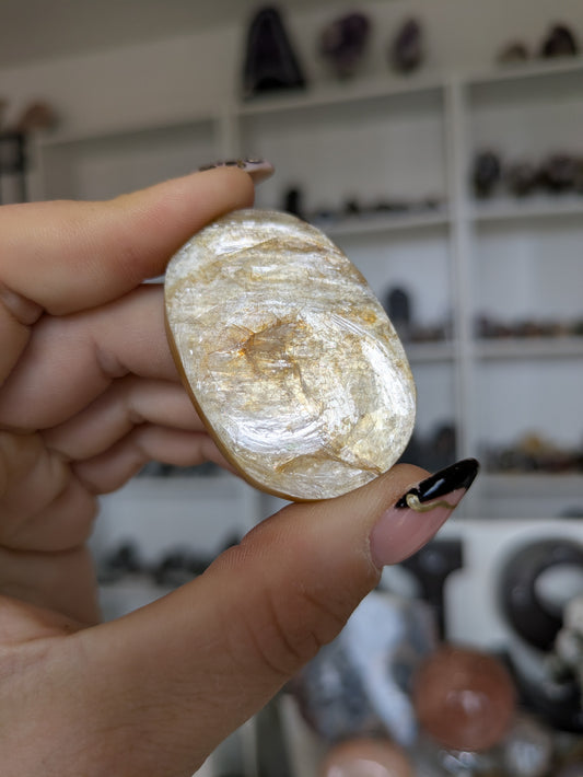 Golden mica palm ✨