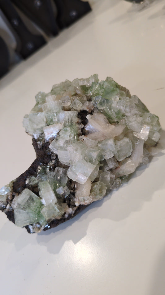 Green disco Apophyllite ✨ H