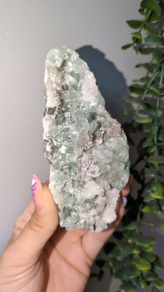 Icy Mint Apophyllite ✨ F