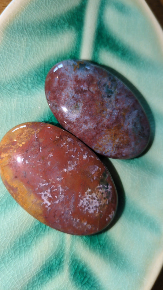 Ocean jasper palms ✨