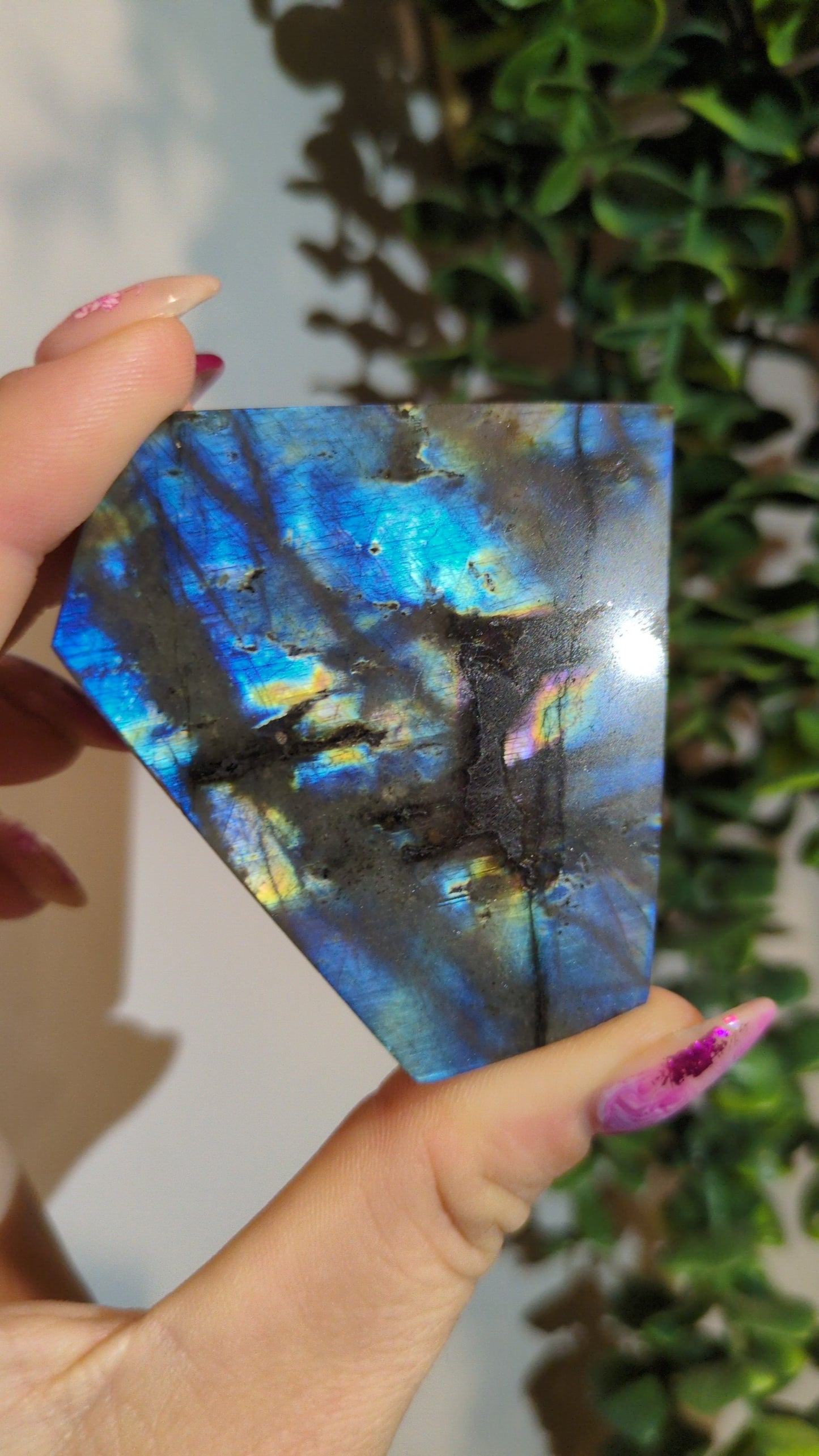 Spectrolite freeform  (22) ✨