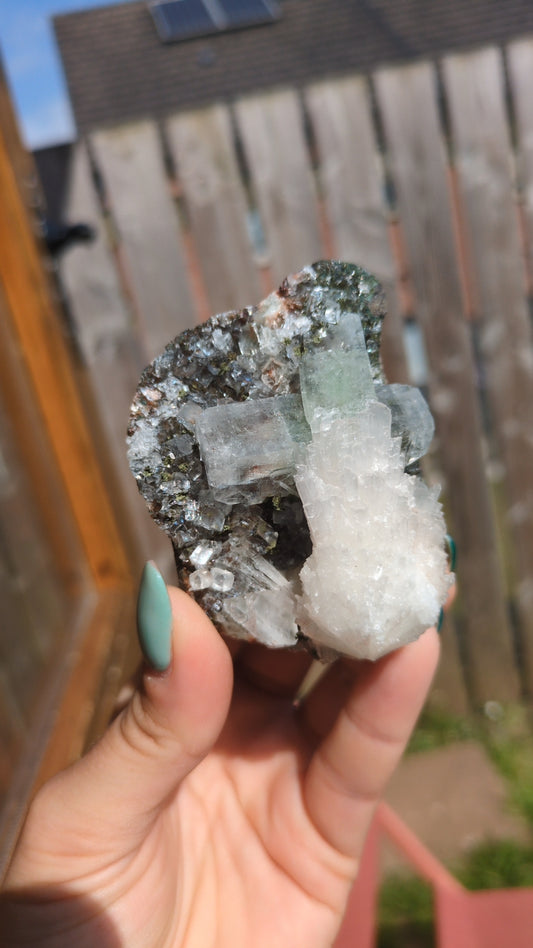 Forest Apophyllite ✨