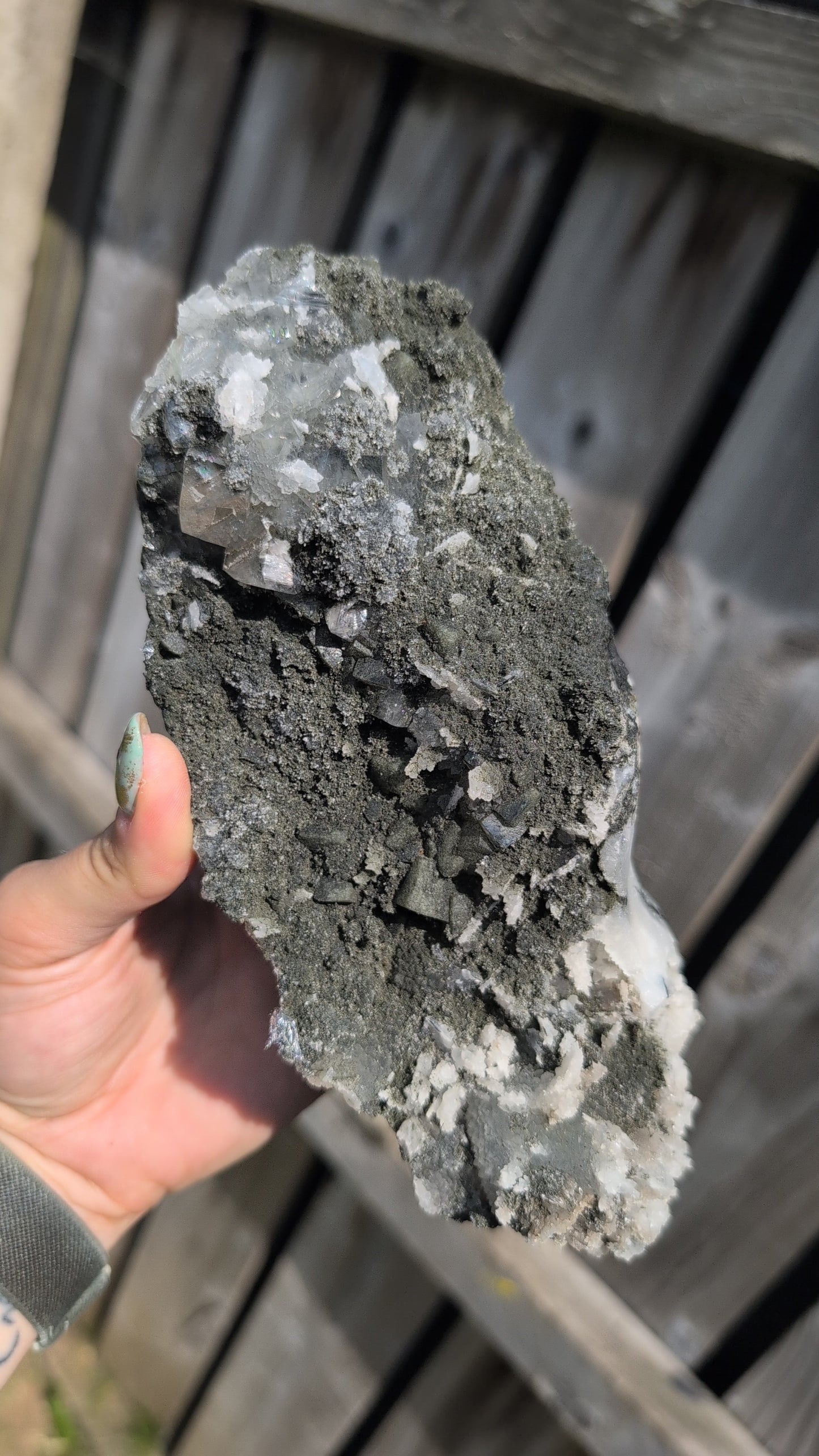 Black forest Apophyllite ✨ L