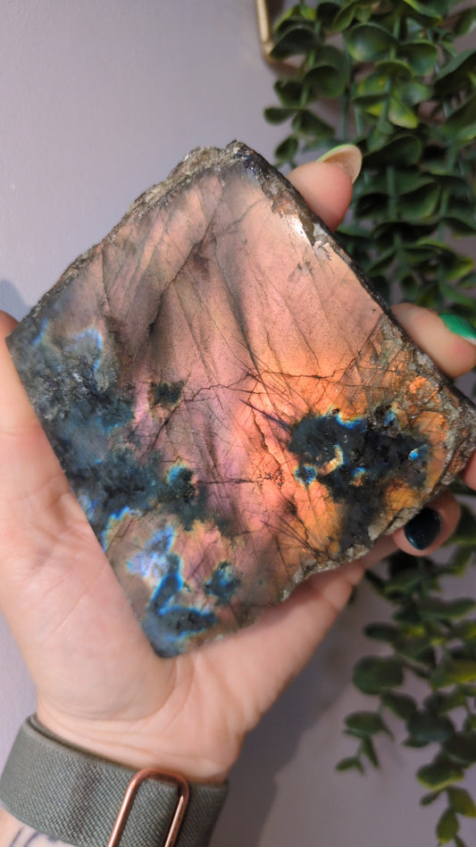 Sunset metallic labradorite slab ✨