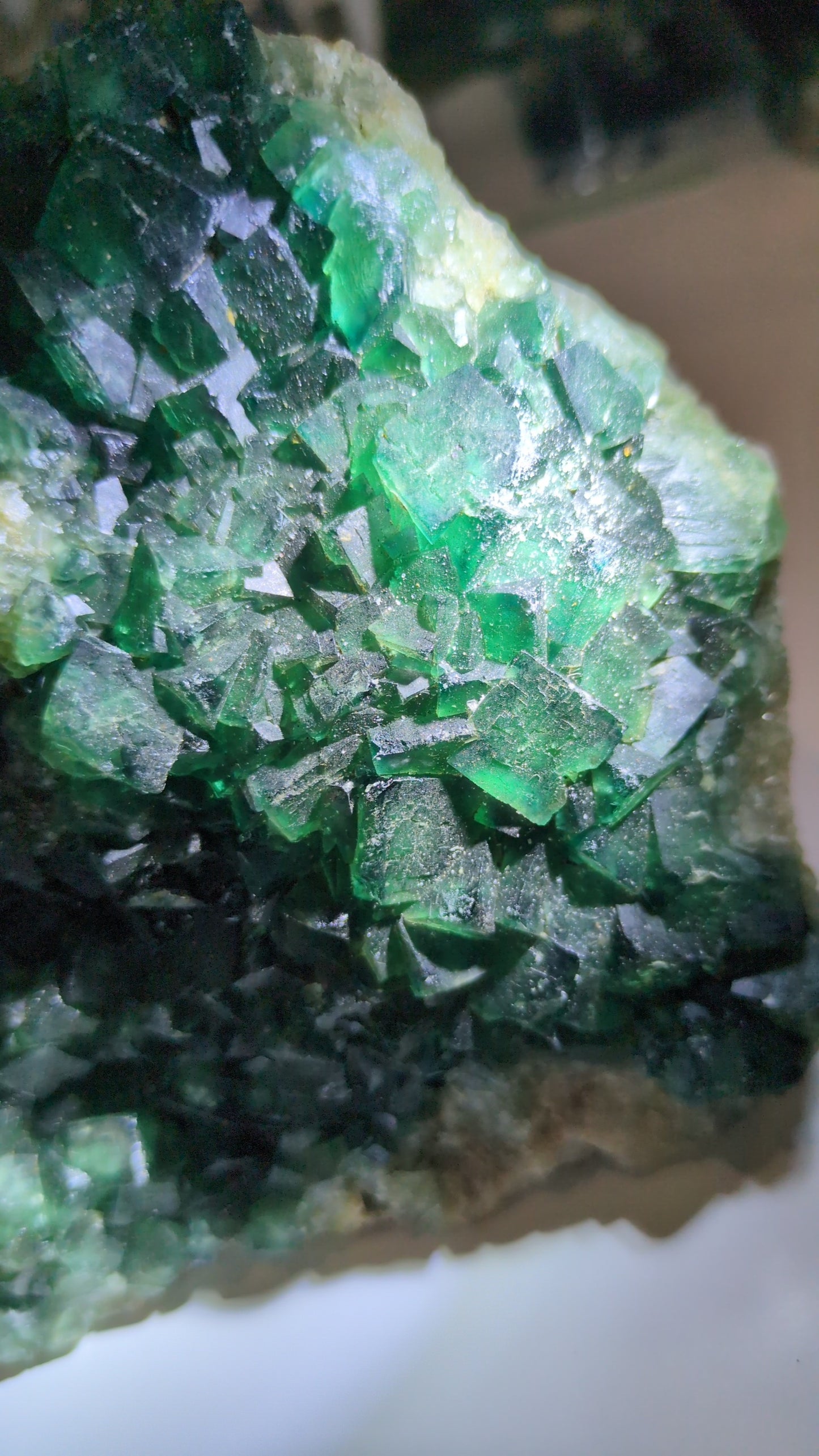 Green flourite ✨ C