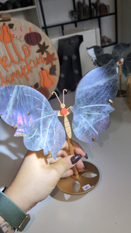 Labradorite wings set (10)