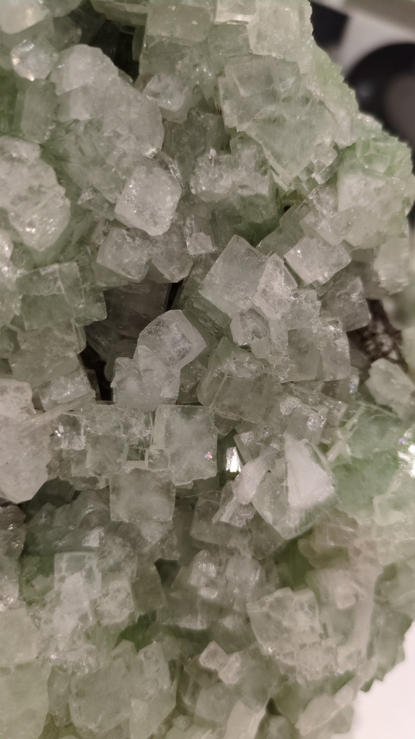 Green disco Apophyllite ✨ statement piece ✨