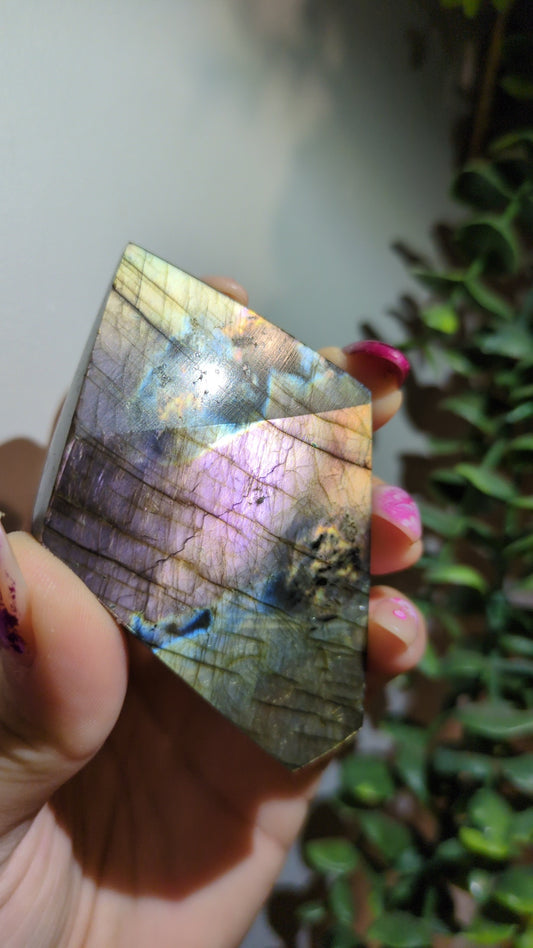 Spectrolite (18X) ✨